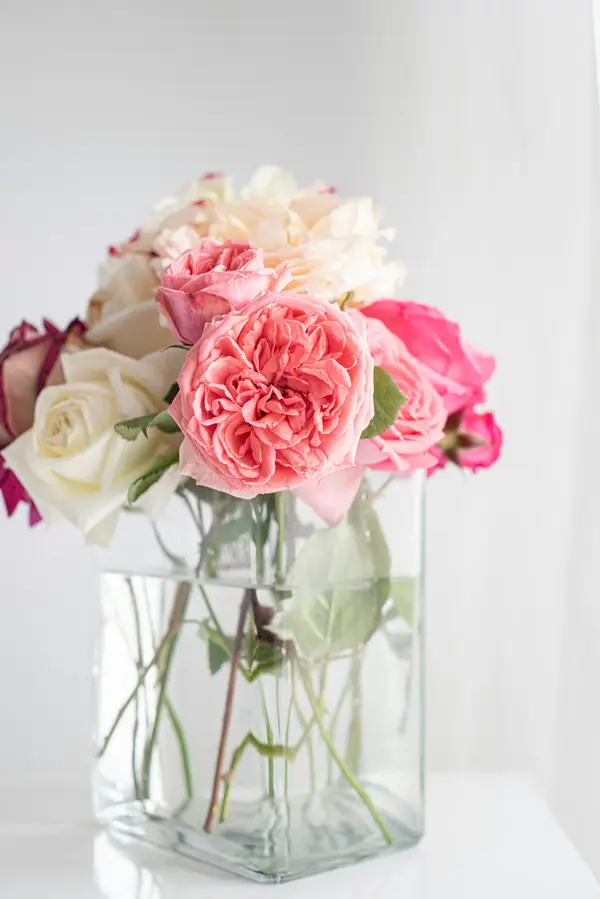 Garden roses in shades of pink in a clear glass vase