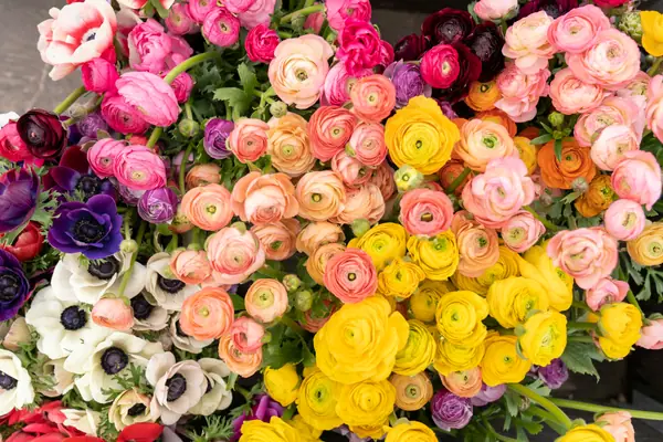 Colorful ranunculus and anemones at a flower stall