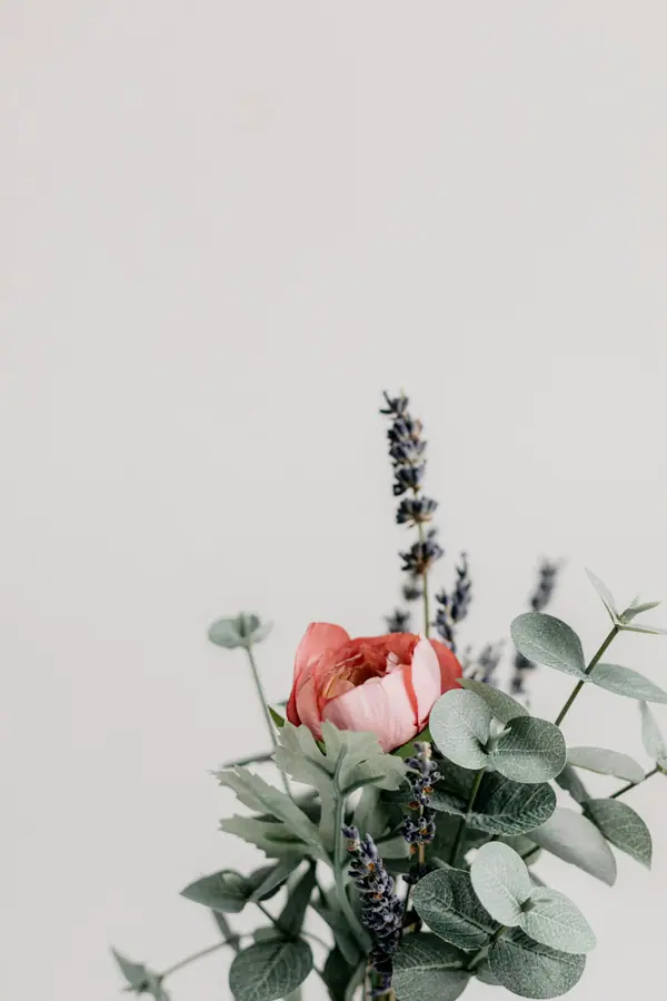 Eucalyptus, lavender and a single pink rose