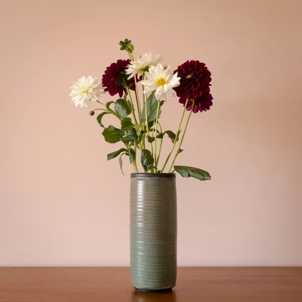 A few dahlias and daisies in a slim sage-green vase